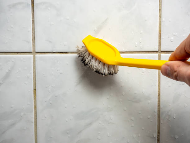 Best Basement Mold Remediation in Juno Beach, FL